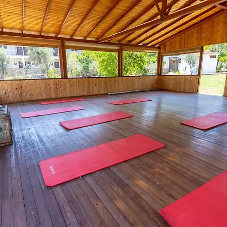 Xanthos Boutique 2* 파타라