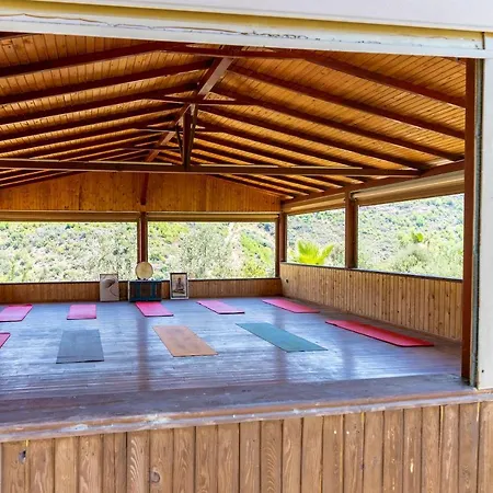 Xanthos Boutique 호텔 파타라