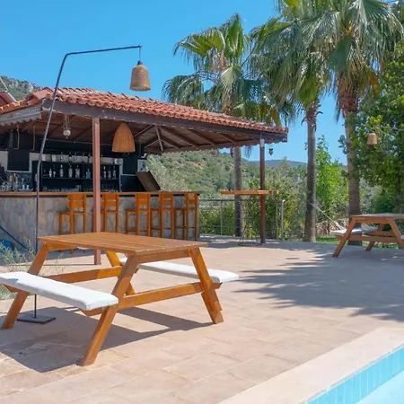 호텔 Xanthos Boutique 파타라